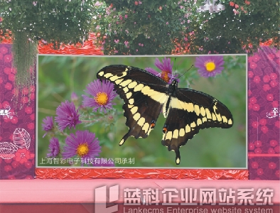 P10戶(hù)外LED顯示屏